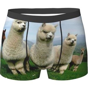 ZJYAGZX Alpaca Boxershorts voor heren, met familieprint, ondergoed, vochtafvoerend, ademend herenondergoed, Zwart, XL