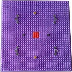 Fashnkart Acupressuur Mat VIII - Metalen Magnetische Therapie Energie voor Pijnverlichting Kracht Voet Gezondheid Deluxe Matten