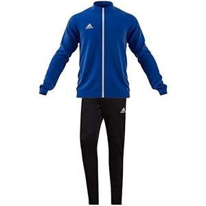 adidas Trainingspak voor heren Entrada 22 Track Suit, team koningsblauw, M