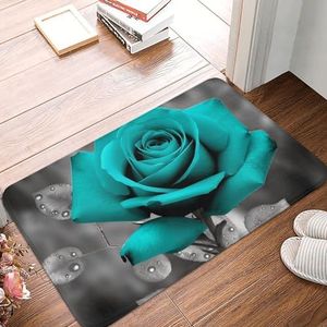 YNCATXZ groenblauw grijs roos deurmat 40 x 60 cm antislip binnen buiten mat welkom mat wasbaar deurmat voor ingangen deurmat absorberende flanellen badmatten
