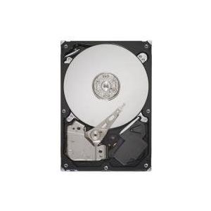 Lenovo 320GB SATA internal hard drive, 5400RPM, FRU04W4481 (drive, 5400RPM)
