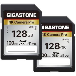 [5 Jaar Gratis Dataherstel] GIGASTONE SD Card 128GB 2-Pack SDHC Camera Pro met 2x Mini-case, Geheugenkaart voor Canon Nikon Sony Camcorder, 100MB/s UHS-I A1 V30 U3 C10 Class 10