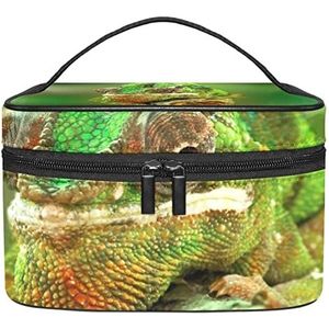 Make-up Organizer Bag, Reizen Make-up Tas Organizer Case Draagbare Cosmetische Tas Voor Vrouwen En Meisjes Toiletartikelen Kameleon Reptile Hagedis Groen, Meerkleurig, 22.5x15x13.8cm/8.9x5.9x5.4in