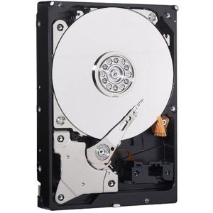 Western Digital 1 TB SATA 6 Gb/s 7200 RPM 1000 GB - harde schijven (1000 GB, 7200 rpm)