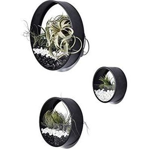 Ecosides Set van 3 zwarte ronde muur opknoping planten terrarium lucht plantenhouder muur opknoping container vetplanten potten in gemengde grootte
