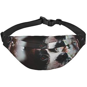 Pet Dog Fanny Pack Lichtgewicht Heuptas voor Vrouwen Mannen, Riem Tas Reizen Sling Tas voor Wandelen Running Fietsen, Zwart, Eén maat, Casual dagrugzak