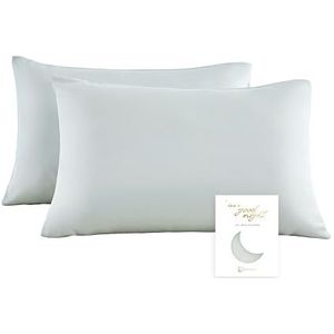 townssilk Both Side Kussensloop van 100% pure tencel, hoogwaardige kussensloop voor haar- en huidgezondheid, set van 2 stuks, 50 x 75 cm, met verborgen ritssluiting, lichtgrijs