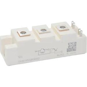 LREDONM 1 st SKM400GB126D SKM400GB123D SKM300GB12T4 SKM150GB12T4G SKM150GB123D SKM400GB124D SKM300GB128D SKM200GB12T4 IGBT Module (SKM300GB128D 0GB126 D)