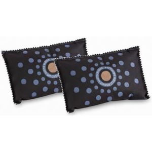 EUROtops Auto-ontvochtiger XL Dry Active, set van 2, herbruikbare luchtontvochtiger tegen vocht, beslagen ruiten en schimmel