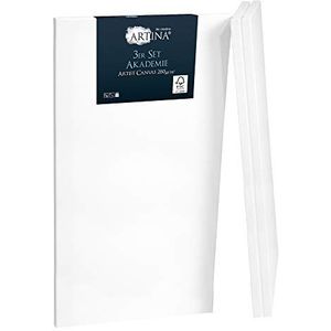 Artina FSC® Schildersdoeken - 3 Stuks - 50x100 cm Academie Canvas Schildersdoek - Set van 3 - Dubbel Geprimed Doek Gerekt Schildersdoeken Wit