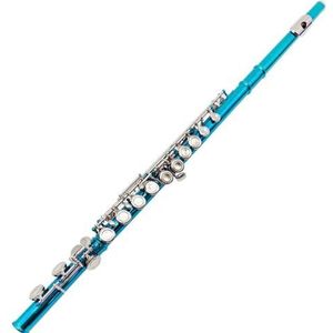 16-holes C-sleutel E-sleutel Fluit Met Gesloten Gat Blauw Paars Cyaan Fluit Student Beginners Oefenen Muziekinstrument (Color : Green 16 closed cells)
