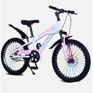 Kinderfietsen 22 Inch Mountainbikes, Heren- En Damesfietsen D,22 inches