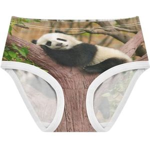 YOUJUNER Meisjesondergoed 3D Dierthema Panda Peuter Onderbroek Katoenen Broek Kleine Meisjes Slips Comfort Kids Onderbroek, Meerkleurig, 5 jaar