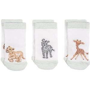 Wrendale - LTW-SOCK005 Little Wren Babysokken, 3 paar, zebra, leeuw, giraf, wasbaar, 0-6 maanden, wit, 0-6 Maanden