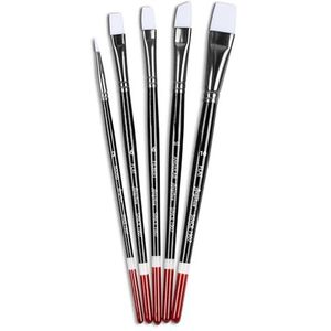 Angelus Penseel Set Ronde Platte Hoekige Kunstenaar Acryl Penseel Set Schoenverf Borstel Set (5 stuks)