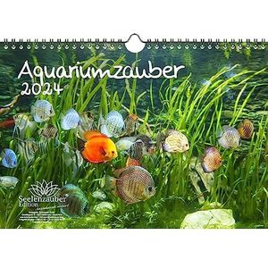 Aquariummagie DIN A4 kalender voor 2024 dieren in aquarium en onderwater - cadeauset inhoud: 1x kalender, 1x kerst- en 1x wenskaart (in totaal 3 delen)