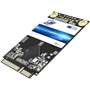 Dogfish mSATA SSD 480GB Internal high performance SATA III 6 GB/s laptop hard drive Includes 500 GB 1 TB (480GB, Msata)