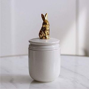 HOLPPO Pet Urnen Pet Crematie Urn Handgemaakte Keramiek Memorial Urn voor Konijn Kleine Vogels Kleine Honden As (Wit (kleur: Konijn)