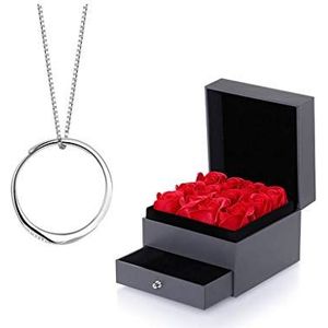 Ketting Ringketting Een paar sterling zilveren paarhangers Sleutelbeenketting voor heren en dames Valentijnsdagcadeau (met geschenkdoos) Ketting voor vrouwen (Kleur: C) (BB) Gelukkig huis