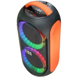 E-Lektron EL214-P Soundsystem Partybox, draagbare luidsprekerbox geluidsinstallatie met USB Mediaspeler en LED Lichtshow, incl. Microfoon