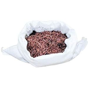 SUPERWURM 500 g compostwormen - Dendrobena - ca. 550 levende wormen voor composters, wormkist en voor het vissen - bioafval omzetten in organische meststoffen - reuzenrode worm als compostversneller