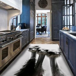 Grote tapijten, zwart en wit, 160 x 230 cm, voor woonkamer, slaapkamer, struisvogelpatroon, wasbaar, zacht, wollig, antislip tapijt, thuis, kantoor, decoratie