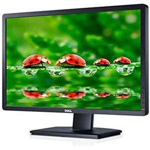 Dell - P2012H - Professionele LCD Monitor - Zwart - 20 Inch