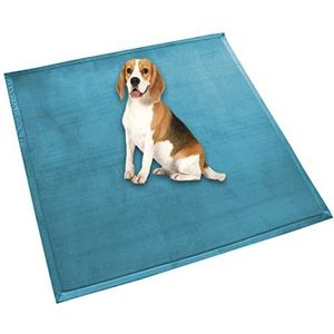 Hondenbed matras extra groot hondenkussen, zachte fleece comfortabele huisdiermat, kalmerende hondenkat slaapmat, antislip wasbaar hondenkussen (150 x 100 cm, cyaan)