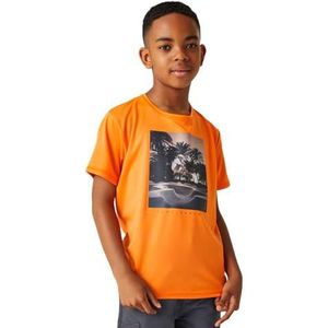 Regatta Alvardo VIII Graphic T-shirt voor jongens