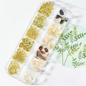 12 roosters/doos onregelmatige abalone natuurlijke schelp nagelvlokken 3D Aurora nagel schelp vlokken DIY 1 * doos manicure natuurlijke abalone schelp-PH031