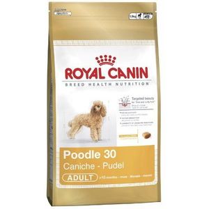 Royal Canin Breed Poedel Hondenvoer, droogvoer voor volwassenen, kleine hondenrassen