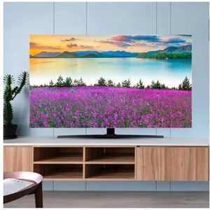 WLTYSM Tv-afdekkingen voor buiten, tv-afdekking, stofbeschermingsdoek, 81-70 cm hoog, kwaliteit, huishouden, gebogen tv, universeel, voor buiten, beschermende behuizing voor tv (05,75 inch 170 x 100