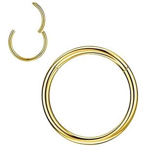 PunkTracker 1 Stks 20G 18G 16G 6/7/8/9/10mm Kraakbeen Tragus Helix Oorbel Hoop Rvs Neus Ringen Neus Piercings Helix Conch Septum Sieraden - Zilver/Goud/Rose Goud, Roestvrij staal