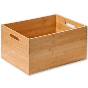 Opbergbox - Transparant - Kunststof - 30L