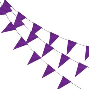 LUQ – Luxe Paarse Slingers – Vlaggenlijn 10 Meter - Verjaardag Slinger Versiering Feestversiering Vlaggen Decoratie
