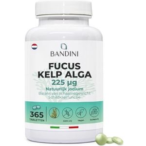 Bandini® Fucus Kelp Algae (Natuurlijk Jodium 225mcg), 365 Tabletten (1 jaar dekking) 100% Veganistisch, Bruine Algen Getitreerd op 0,1% Jodium, Stimuleert de Energiestofwisseling, Nagels, Haar