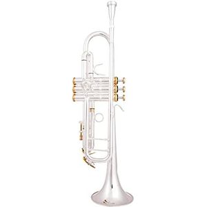 Bb Trompet Verzilverd Trompet Klein Messing Muziekinstrument (Color : Golden)
