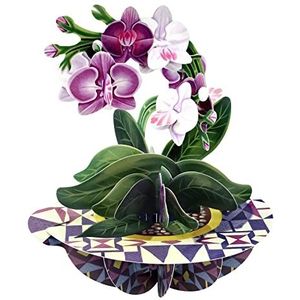 SANTORO Pirouette, 3D pop-up wenskaart - orchidee - verjaardagscadeau voor haar, moeder, dochter, vrouw, vriendin, jubileum, denk aan jou, bedankkaart | bloemenkaart voor Moederdag