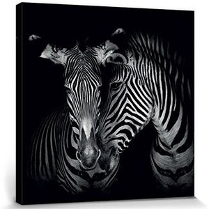 1art1 Zebras Poster Kunstdruk Op Canvas Secrets, Marina Cano Muurschildering Print XXL Op Brancard | Afbeelding Affiche 80x80 cm