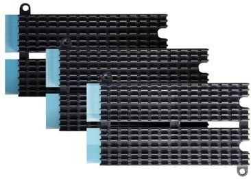 AS-HK1 - Heatsink - Zwart - Compatibel met AS-T10G3 en Flashstor