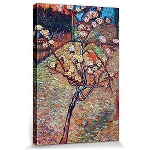 1art1 Vincent Van Gogh Poster Kunstdruk Op Canvas Pear Tree In Blossom, 1888 Muurschildering Print XXL Op Brancard | Afbeelding Affiche 120x80 cm