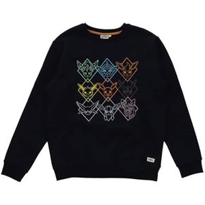 Pokémon sweater met lange mouwen voor volwassenen met prismatisch Eevee evolutie borduursel - Polykatoen - Navy (DE/NL/SE/PL, Alfabetisch, L, Regular, Regular, Marineblauw)