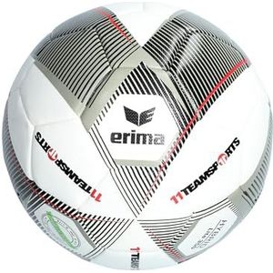 Erima Equipment - Voetballen Hybrid 2.0 Lite 350 gram Lightball 11TS grijszwart 4