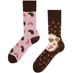 Dedoles Unisex Sokken voor Dames, Heren & Kinderen Katoen Grappige Ontwerpen Voetbal Planten Links Rechts Verschillend, kleur: Roze, motief: Egel, grootte: 35-38