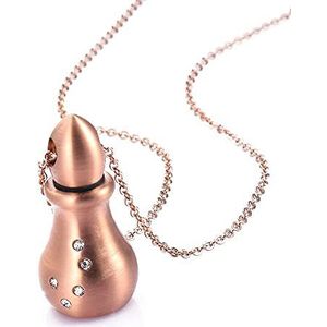 SASHUN XLIAN326 Rose Goud/Goud Roestvrij Staal Crematie Sieraden Parfum Fles Kalebas Memorial Ash Keepsake Ketting Urn Hanger Pet Memorial (Metalen kleur: Rose Goud)