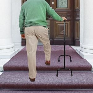 Traplift For Ouderen, 45x33x98cm Staande Traplift 88-98cm Verstelbare Hoogte, Viervoets Hulpstok For Hulp Bij Het Op- En Aflopen Van Trappen, 120kg Draagvermogen