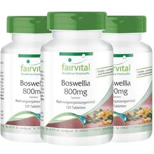 Fairvital - Wierooktabletten - Boswellia Serrata-extract 800 mg dagelijkse dosis - 360 tabletten - Vegan