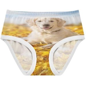 YOUJUNER Meisjesondergoed Mooie Golden Retriever Hond Peuter Slipje Katoenen Broek Kleine Meisjes Slips Comfort Kids Onderbroek, Meerkleurig, 3 jaar