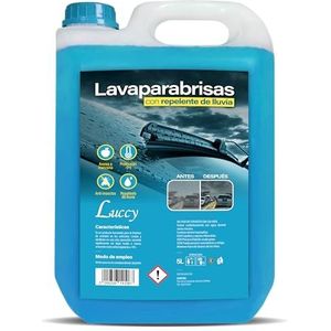 Ruitenwisservloeistof - 5 L - Regenbescherming - Vorstbescherming tot -5 °C
