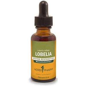 Herb Pharm Certified Organic Lobelia Liquid Extract for Musculoskeletal System Support - 1 Ounce (DLOBEL01)